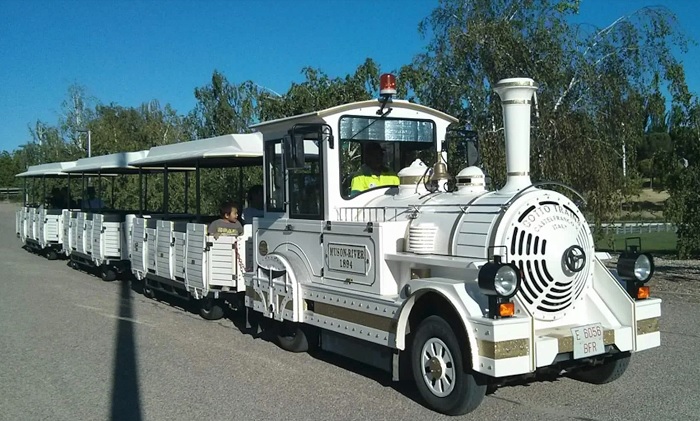 tren parque juan carlos i